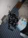 Photo Number 5