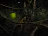 Photo Number 14