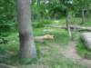 Photo Number 5