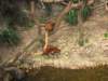 Photo Number 78